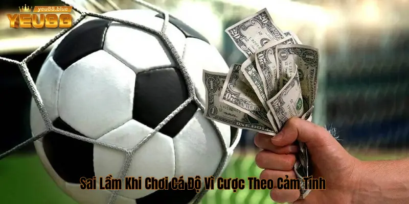 Sai lầm khi cược theo cảm tính