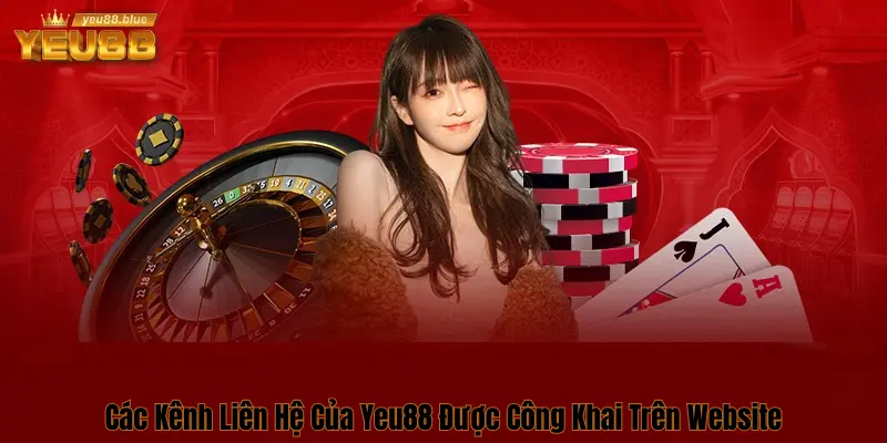 Hỗ trợ người chơi 24/7