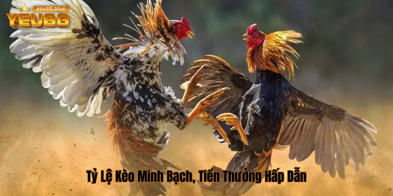 Tỷ lệ kèo minh bạch