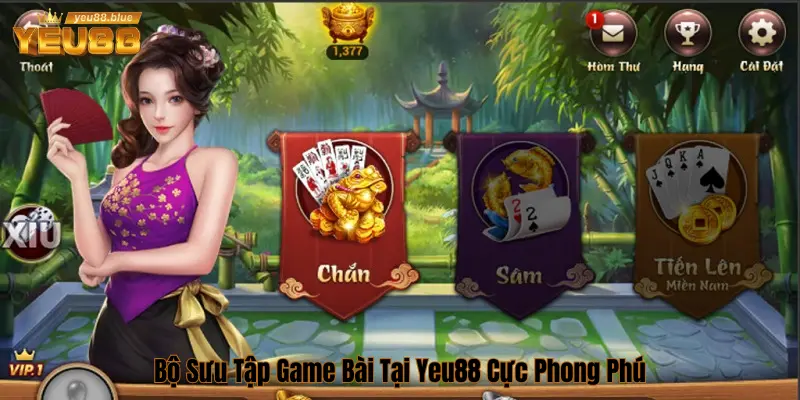 Bộ sưu tập hấp dẫn