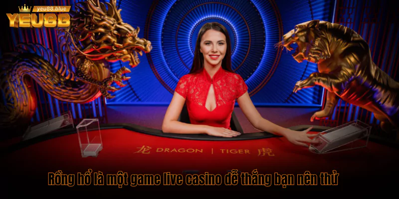 Top 5 game Live Casino dễ thắng và thưởng cao nhất 4 Rồng hổ là một game live casino dễ thắng bạn nên thử