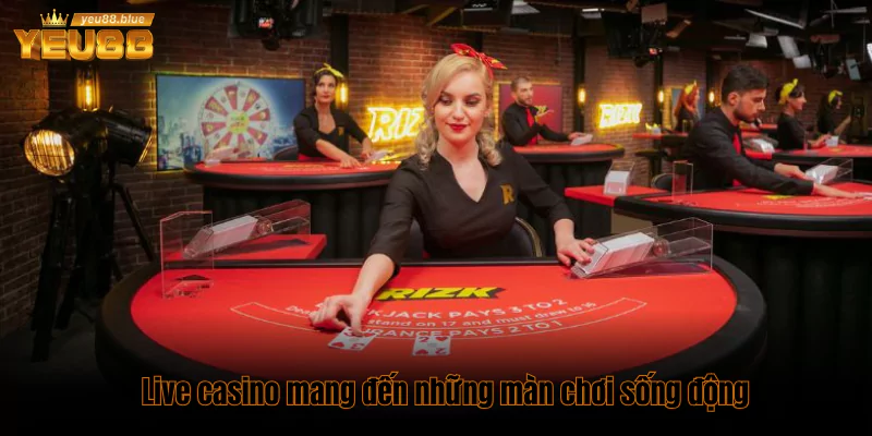 Top 5 game Live Casino dễ thắng và thưởng cao nhất 1 Live casino ưu điểm