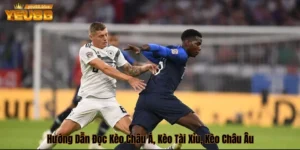 Hướng dẫn đọc kèo