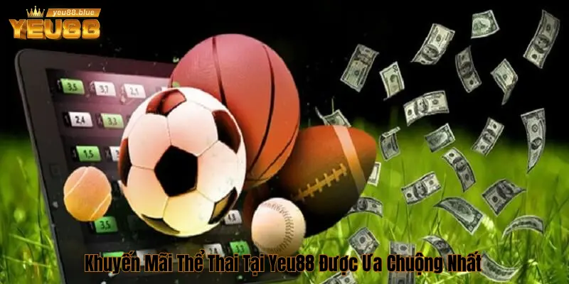 Khuyến mãi hoàn trả thể thao 