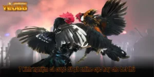 7 kinh nghiệm cá cược đá gà online