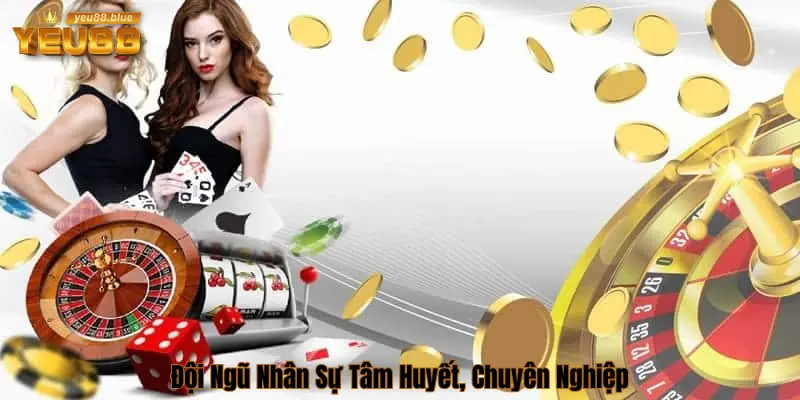 Đội ngũ hỗ trợ chuyên nghiệp